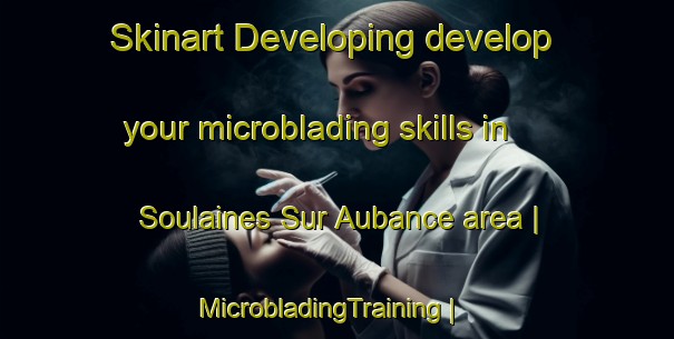 Skinart Developing develop your microblading skills in Soulaines Sur Aubance area | MicrobladingTraining | MicrobladingClasses | SkinartTraining-France